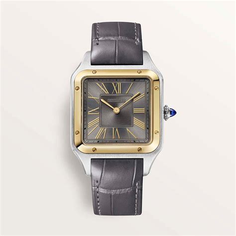 cartier w2sa0028|CRW2SA0028 .